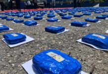 Súper marihuana en Lara | Incautados 1.253 kilos en un operativo