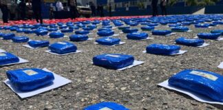 Súper marihuana en Lara | Incautados 1.253 kilos en un operativo