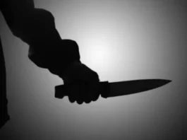 Chile | Imputan a venezolano por crimen de una joven Lo detuvieron por una agresión y descubrieron que se trataba de un homicida