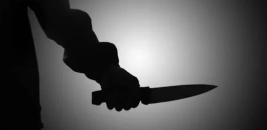 Chile | Imputan a venezolano por crimen de una joven Lo detuvieron por una agresión y descubrieron que se trataba de un homicida