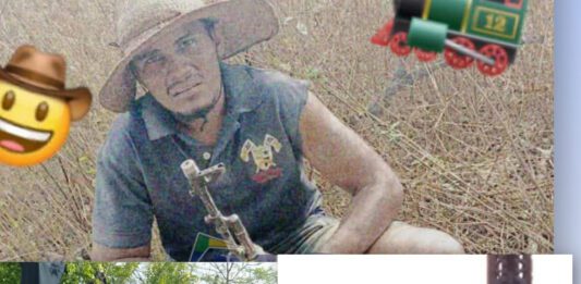 Guárico «88», «Guerrillero» y «El Flaco» fueron abatidos por el CONAS – DCDO