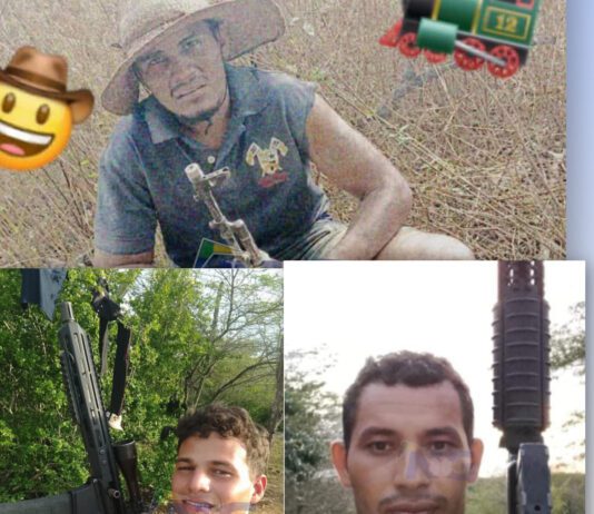 Guárico «88», «Guerrillero» y «El Flaco» fueron abatidos por el CONAS – DCDO