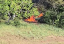 Apure | FANB localiza pista clandestina y destruye aeronave vinculada a grupos Tancol Apure | FANB localiza pista clandestina y destruye aeronave vinculada a grupos Tancol