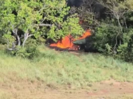 Apure | FANB localiza pista clandestina y destruye aeronave vinculada a grupos Tancol Apure | FANB localiza pista clandestina y destruye aeronave vinculada a grupos Tancol