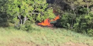 Apure | FANB localiza pista clandestina y destruye aeronave vinculada a grupos Tancol Apure | FANB localiza pista clandestina y destruye aeronave vinculada a grupos Tancol