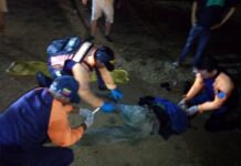 Arrollado hombre en Antiguo Aeropuerto