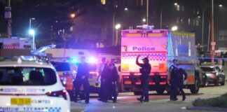 Australia | Autores del ataque mortal en evento judío eran padre e hijo Australia | Autores del ataque mortal en evento judío eran padre e hijo