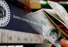 Así se cotiza el dólar y euro BCV hoy 12 de diciembre Así se cotiza el dólar y euro BCV hoy 12 de diciembre