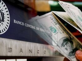 Así se cotiza el dólar y euro BCV hoy 12 de diciembre Así se cotiza el dólar y euro BCV hoy 12 de diciembre