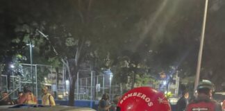 Caracas | Choque contra árbol dejó dos muertos y siete heridos Caracas | Choque contra árbol dejó dos muertos y siete heridos