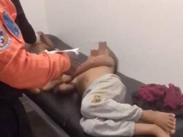 Choque de moto con una vaca deja a niñas de 3 y 5 años lesionadas