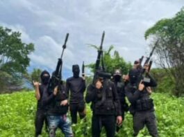 Vídeo| Cuatro abatidos por parte del CONAS