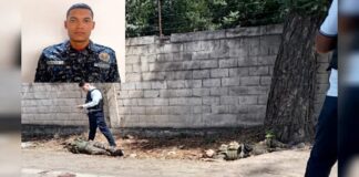 Delincuentes emboscaron una comisión policial y mataron a tres