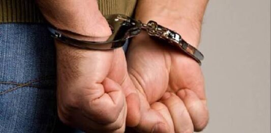 Detenido por hurto en Coro