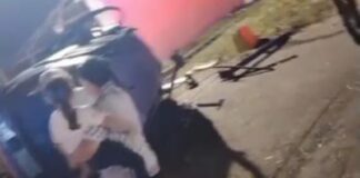 Vídeo| Dos lesionados tras vuelco de vehículo