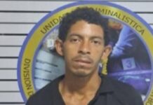 Detenido «El Peluca» por robo de vivienda