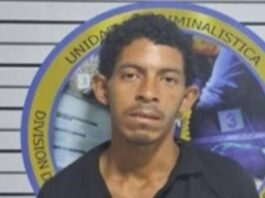 Detenido «El Peluca» por robo de vivienda