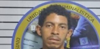 Detenido «El Peluca» por robo de vivienda