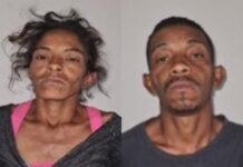 Ellos se dedicaban al hurto