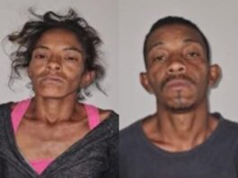 Ellos se dedicaban al hurto