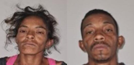 Ellos se dedicaban al hurto