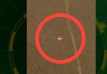 FANB interceptó e inmovilizó aeronave ilegal en espacio aéreo venezolano FANB interceptó e inmovilizó aeronave ilegal en espacio aéreo venezolano