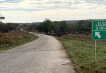 Joven falleció tras impactar su moto contra un búfalo