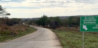 Joven falleció tras impactar su moto contra un búfalo