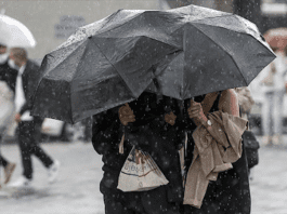Inameh prevé incremento de lluvias en 10 estados para las próximas horas Inameh prevé incremento de lluvias en 10 estados para las próximas horas