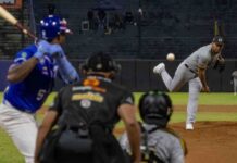 La LVBP entra en la recta final La LVBP entra en la recta final