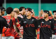 Así marcha la tabla de posiciones de la LVBP Así marcha la tabla de posiciones de la LVBP