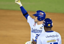 LVBP | Los juegos de hoy viernes 5 de diciembre LVBP | Los juegos de hoy viernes 5 de diciembre