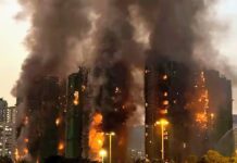 Llamas mortales: incendios que marcaron el 2025 Llamas mortales: incendios que marcaron el 2025