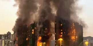 Llamas mortales: incendios que marcaron el 2025 Llamas mortales: incendios que marcaron el 2025