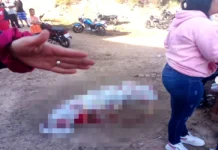 Táchira | Mataron a un hombre de un ladrillazo en la cabeza Táchira | Mataron a un hombre de un ladrillazo en la cabeza