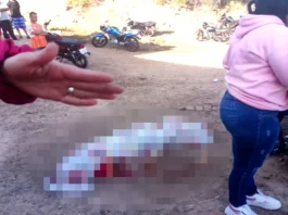 Táchira | Mataron a un hombre de un ladrillazo en la cabeza Táchira | Mataron a un hombre de un ladrillazo en la cabeza