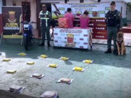 Decomisan 18 panelas de presunta marihuana a una pareja de motorizados