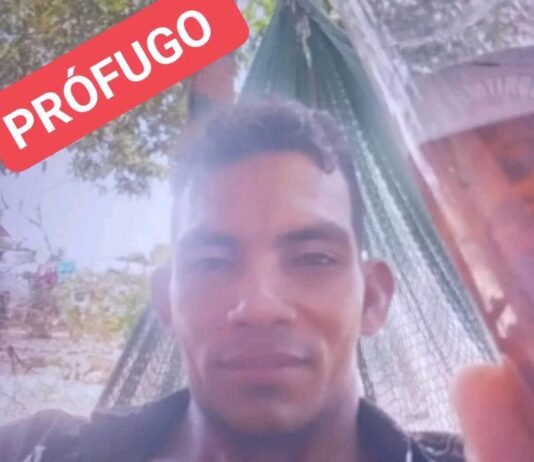 Mató a su pareja sentimental de un golpe en la cabeza