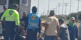 Punto Fijo| Mujer intentó cruzar la Intercomunal Alí Primera y fue arrollada
