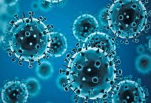 OPS advierte aumento de casos del virus de influenza A(H3N2) OPS advierte aumento de casos del virus de influenza A(H3N2)