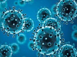 OPS advierte aumento de casos del virus de influenza A(H3N2) OPS advierte aumento de casos del virus de influenza A(H3N2)