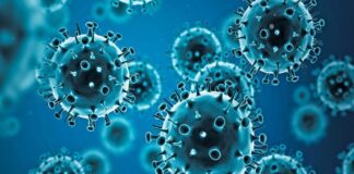 OPS advierte aumento de casos del virus de influenza A(H3N2) OPS advierte aumento de casos del virus de influenza A(H3N2)