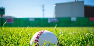 Puerto Rico, Dominicana y México no asistirán a la Serie del Caribe 2026 Puerto Rico, Dominicana y México no asistirán a la Serie del Caribe 2026