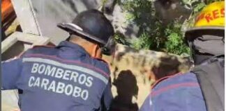 Rescatada mujer tras caer en la fosa de un cementerio