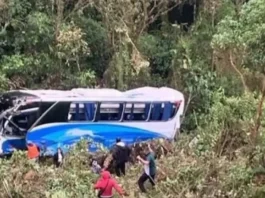 Accidente en Bucaramanga: bus intermunicipal cae a un precipicio Tragedia en Bucaramanga: bus intermunicipal cae a un precipicio