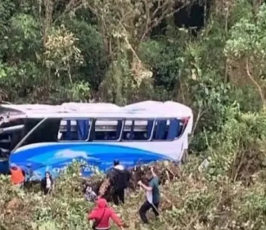 Accidente en Bucaramanga: bus intermunicipal cae a un precipicio Tragedia en Bucaramanga: bus intermunicipal cae a un precipicio