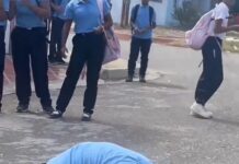 Video| Punto Fijo | Denuncian actos violentos entre dos estudiantes de un liceo de Las Adjuntas