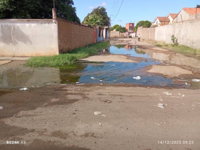 calle Las Palmas Coro