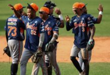 Así marcha la tabla de la LVBP hoy martes