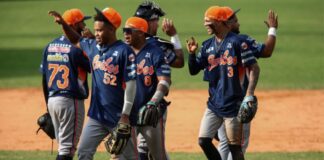 Así marcha la tabla de la LVBP hoy martes